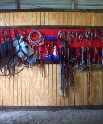 DIY horse tack board holding saddles.