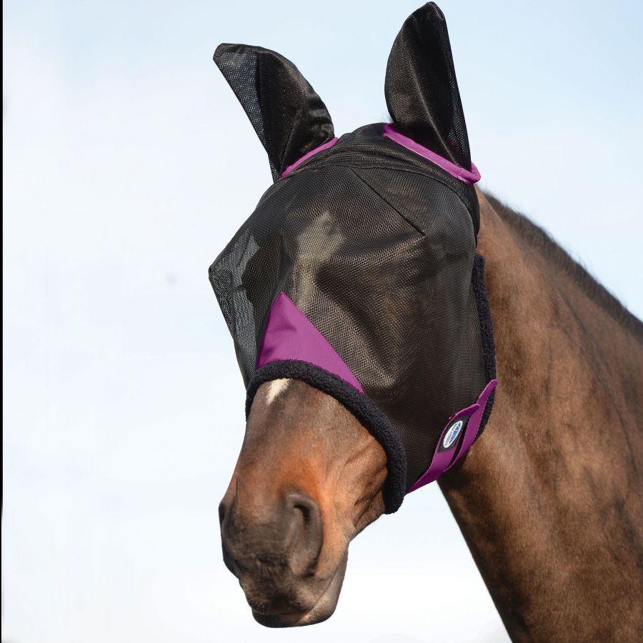 A horse wearing a fly mask to protect its eyes from insects and debris
