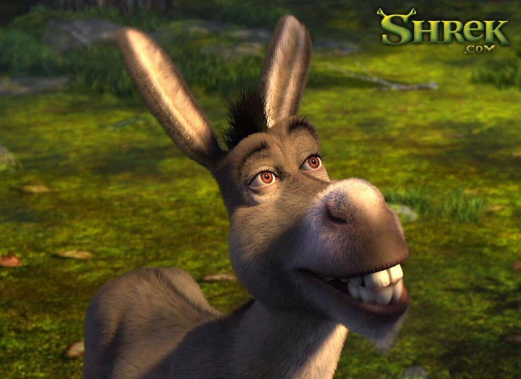Donkey from Shrek.