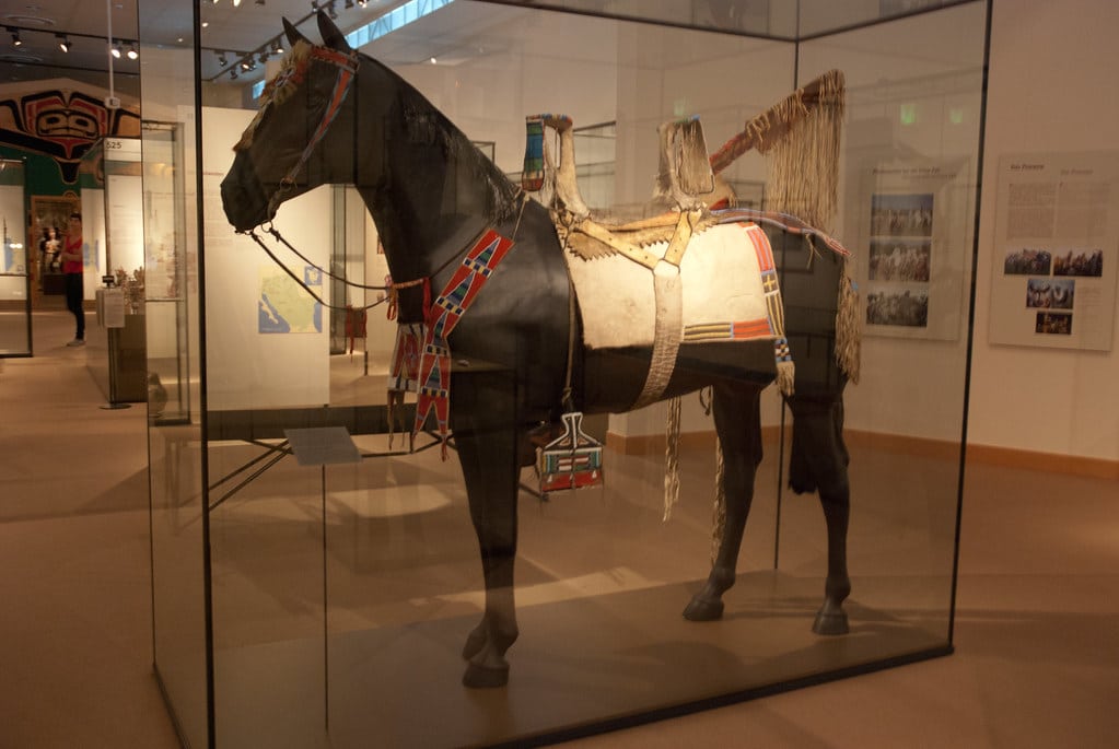 A Native American horse in a museum.