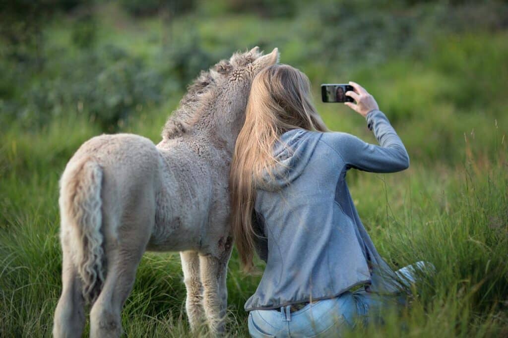 A girl taking a selfie with a donkey.