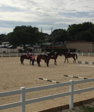 A group of horses in a corral in dallas.