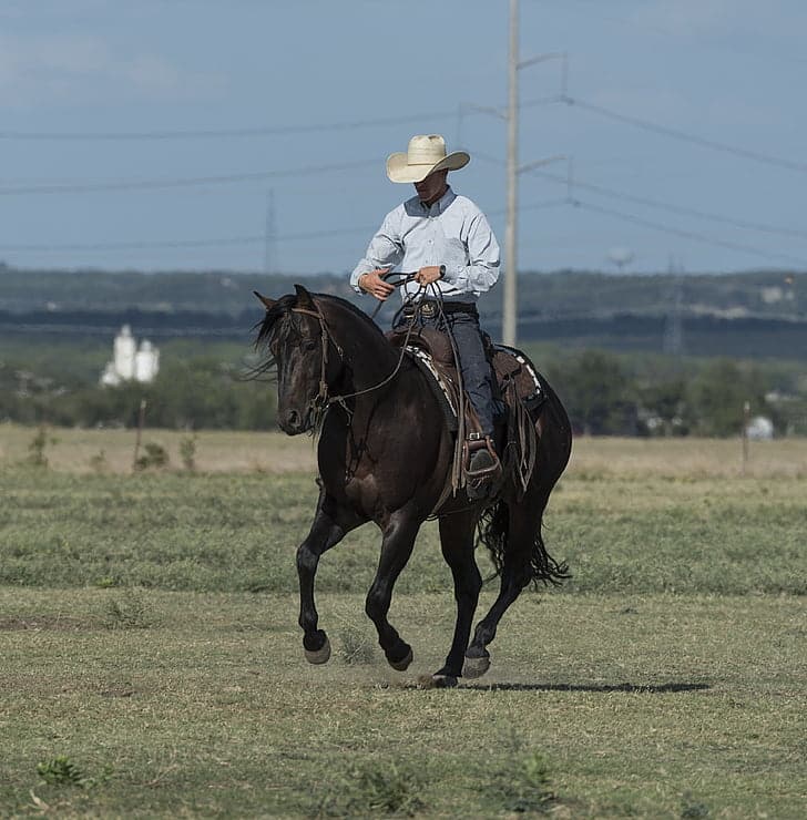 Man riding western horse