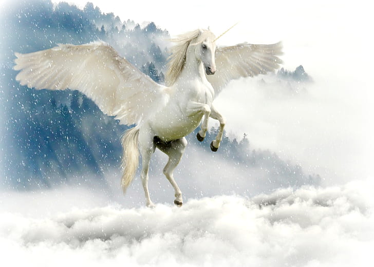 White pegasus above of cloudy sky